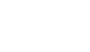 netflix_white_24.png
